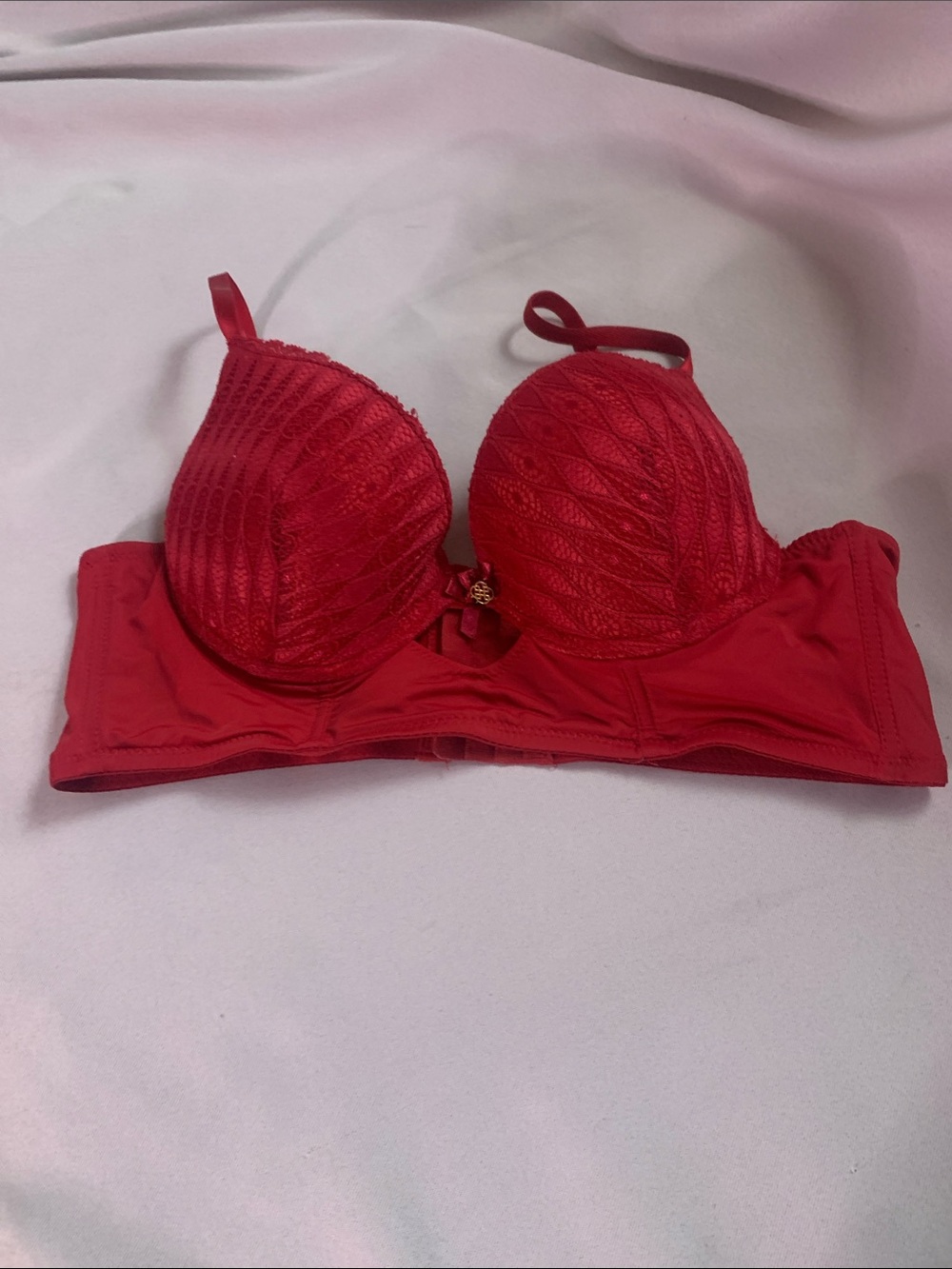 Daisy Fuentes Red Lace Push-Up Bra